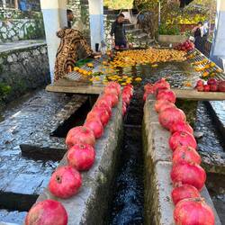 Oranges and grenadines