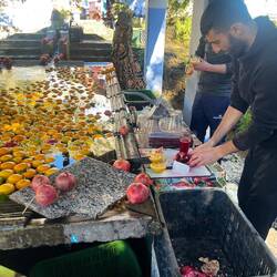 Fresh fruit juices (the old wash house got a new use)