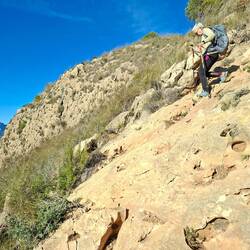 Cours Franci, cours !!!