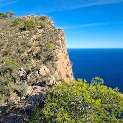 Franci en mode caméléon, on la devine à peine dans ce décor 😜