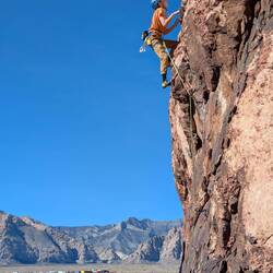 E killed it leading this one.