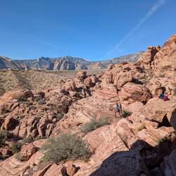 Holden loved exploring in his own way.