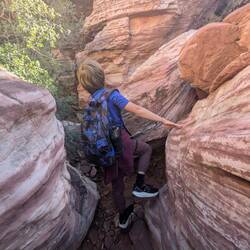 Trying to figure out where this might lead.