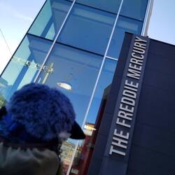 LPD is a little mystified.