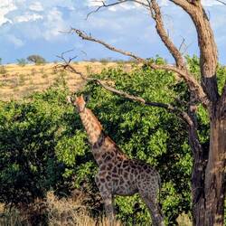 Tiere gab's unterwegs auch