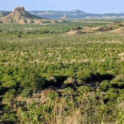 Wir haben heute mal eine ganz andere Sicht darauf