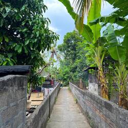 Small alleyways between rural houses