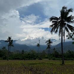 Bali's rugged interior always loomed large on our left