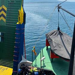 Maybe Thom and Sexy Pete stowed away in the corner of the ferry