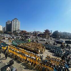 Wenn hier eines umfällt, interessiert das keinen in Ö 😂