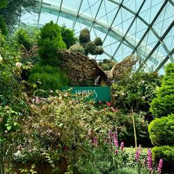 Inside Flower Dome