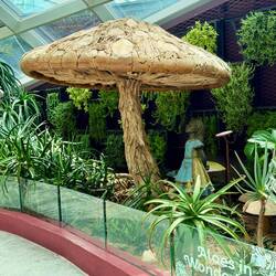 Aloes in Wonderland