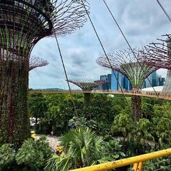 OCBC Skyway