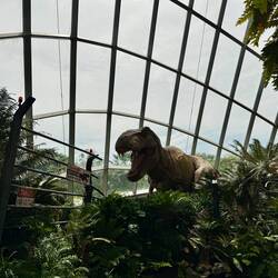 T-Rex