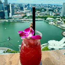 Natürlich mit Singapur Sling 🤩
