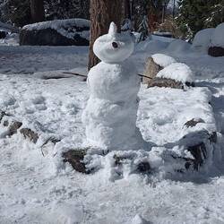 Dadurch kamen wir auf Indianer. Irokesen sind in USA = Mowhak.