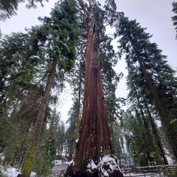 Der General Grant Loop.