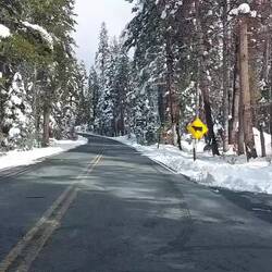 Noch neben der Straße.