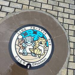 Les pokémons sont partout !