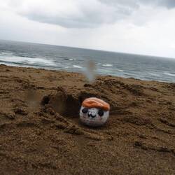 Monsieur Sushi voyage !