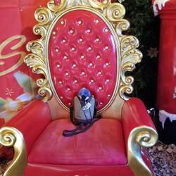 The Man was not in, so the Dude took his seat.