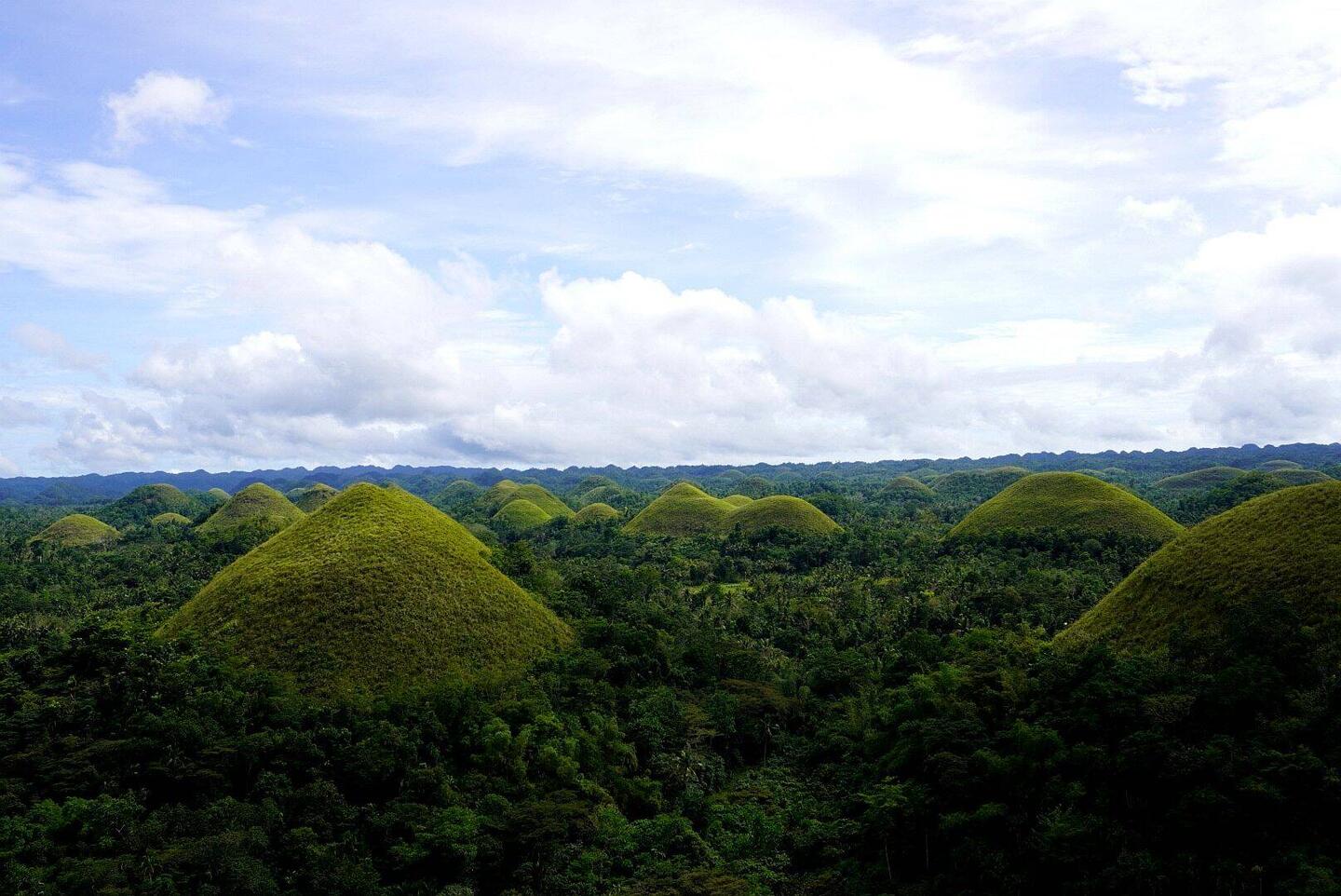 Chocolat Hills