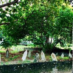 Muslimischer Friedhof