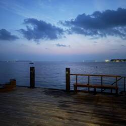 Auf zum Nachtschnorcheln