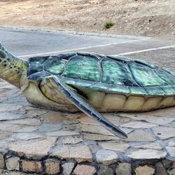 Diese Plastik hat mit dem wirklichen Erscheinungsbild nicht ganz so viel zu tun ...