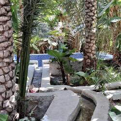 Pool unter Palmen im Wadi Tiwi 🌴