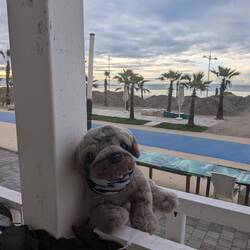 First morning in Albania 💛💛⛱️⛱️