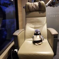 Little Penguin Dude took my seat. Luckily we had the whole cabin to ourselves, 9 seats.