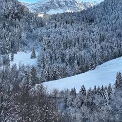 Like a shining vision.