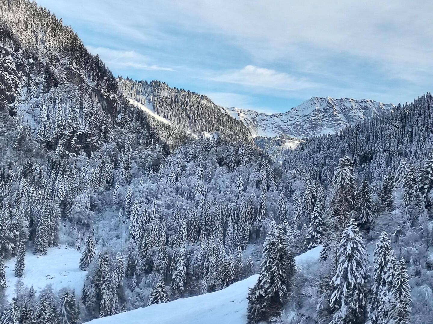 Like powdered sugar.