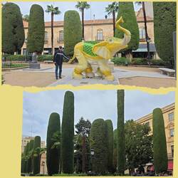 Stopp, der will schon wieder in die falsche Richtung...