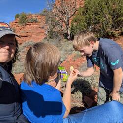 Consolation gummies.