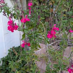 Loved all the pops of color in unexpected places.