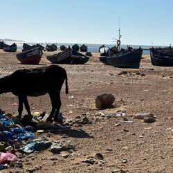 Müll - wie an so vielen Stellen in Marokko