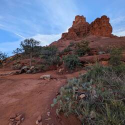 So impressed with the amount of vegetation we found all around the rock.