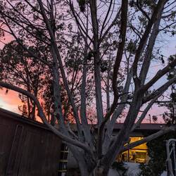 Sunset colors did not disappoint.