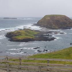 Seal Rocks at Nobbies Cove, Phillip Island