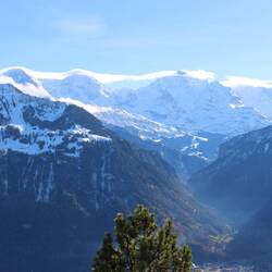 Left to right, top center, Eiger (13.6K), Monch (13.5K), & Jungfrau (13.7K) middling tall