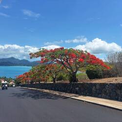 die Bäume finde ich super schön