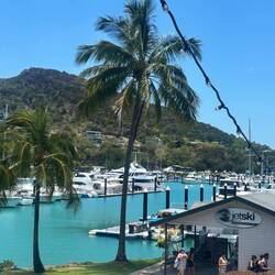 Insel der Schönen und Reichen 🫣