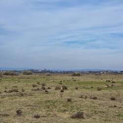 Wo hat sich Selah versteckt?