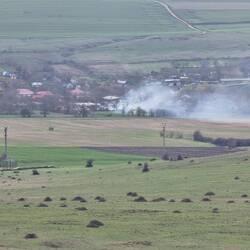Immer wieder sieht man Leute ihre "Garten"-Abfälle verbennen....