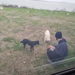 Auch Alex durfte die Streuner füttern.