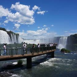 brasilianische sitta