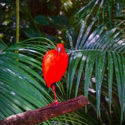 die fötis sind jetzt vom vogelpark