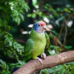 @soniii i han natürlich ganz viel vögel für di fotografiert